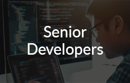 senior-developer